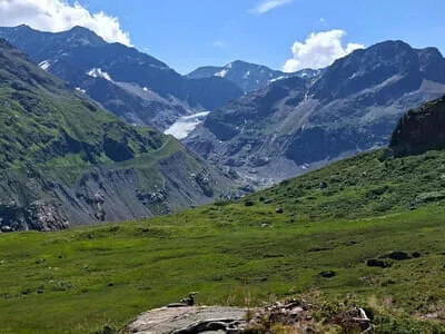 Botanikausflug ins Kaunertal Bild 7