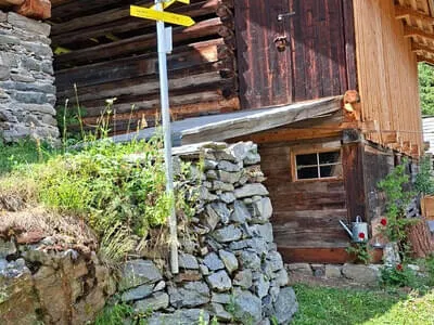 Botanikausflug ins Kaunertal Bild 12