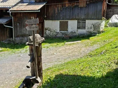 Botanikausflug ins Kaunertal Bild 13