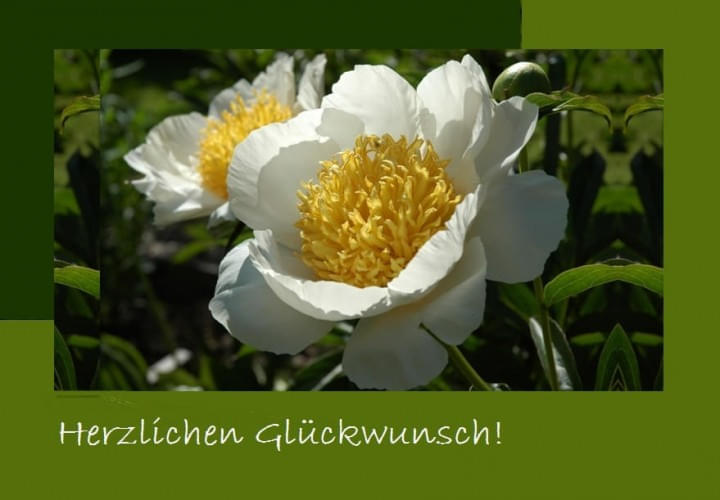 Herzlichen-Glueckwunsch